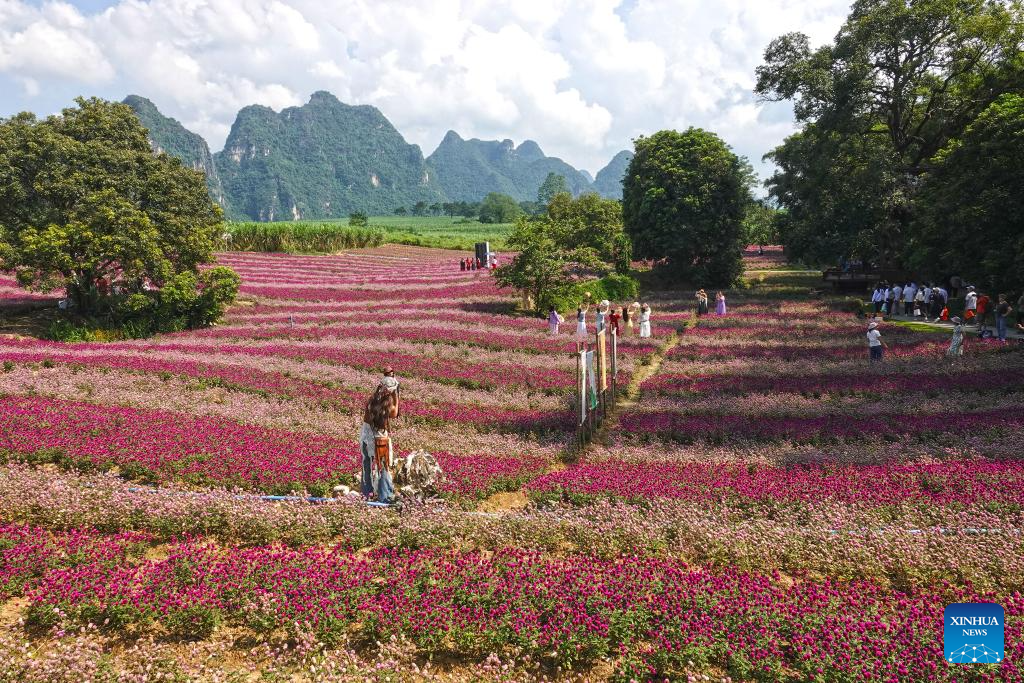 Golden autumn days draw people outdoors across China
