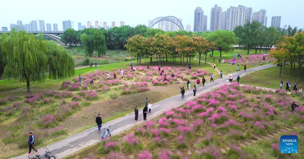 Golden autumn days draw people outdoors across China