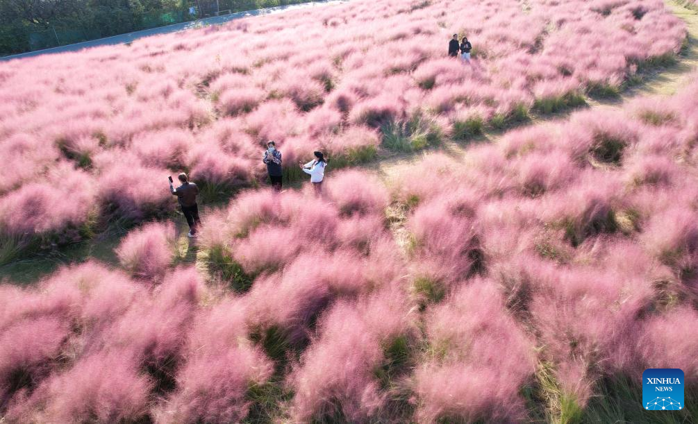 Golden autumn days draw people outdoors across China