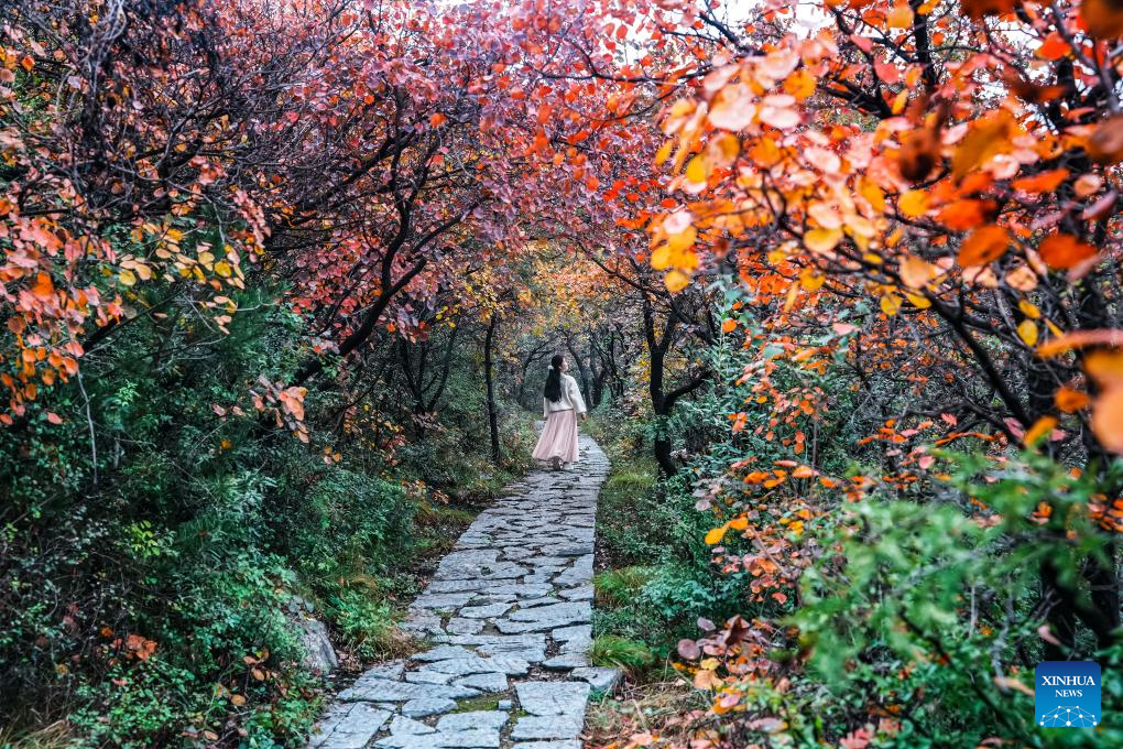 Golden autumn days draw people outdoors across China