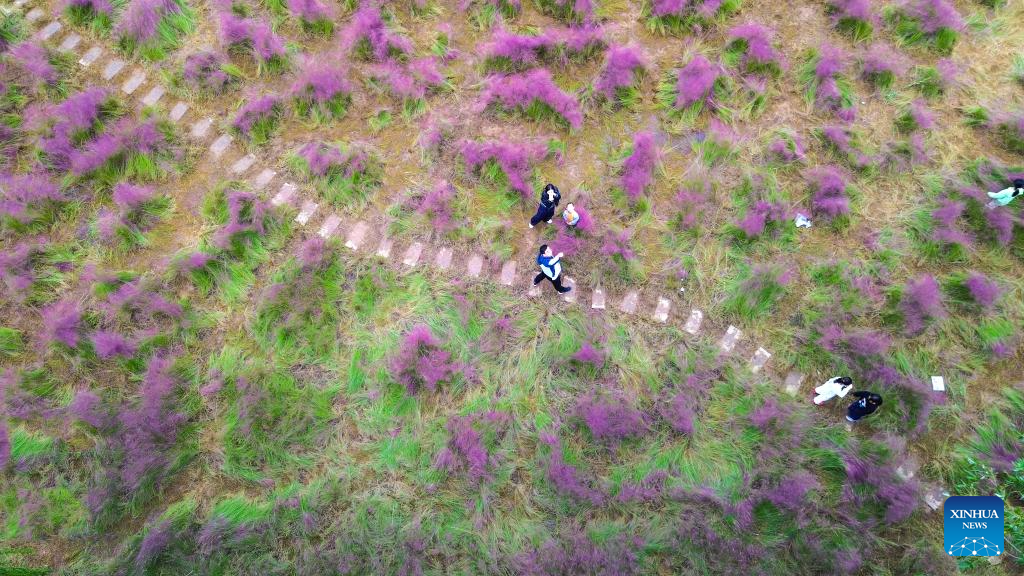 Golden autumn days draw people outdoors across China