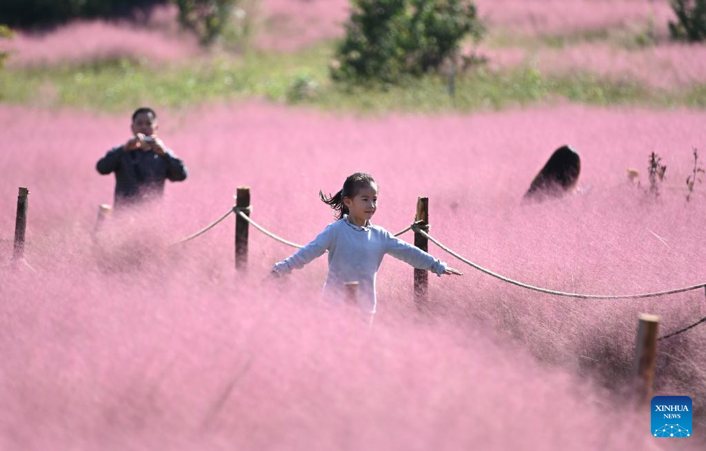 Golden autumn days draw people outdoors across China