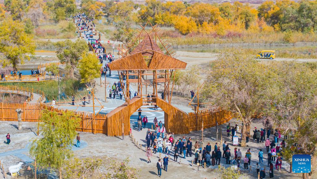 Autumn scenery of populus euphratica forests, Tarim River attracts tourists to Xinjiang