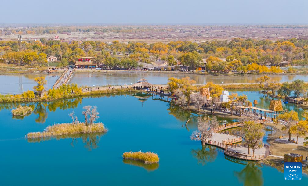 Autumn scenery of populus euphratica forests, Tarim River attracts tourists to Xinjiang