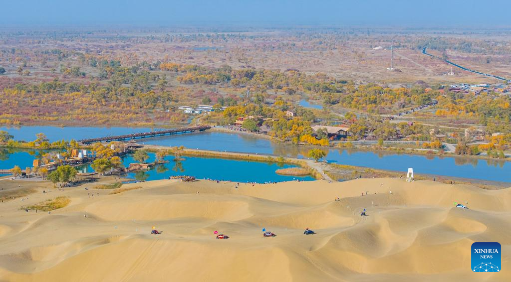 Autumn scenery of populus euphratica forests, Tarim River attracts tourists to Xinjiang