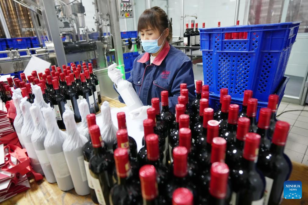 Minning Town in NW China's Ningxia thrives amid ecological transformation