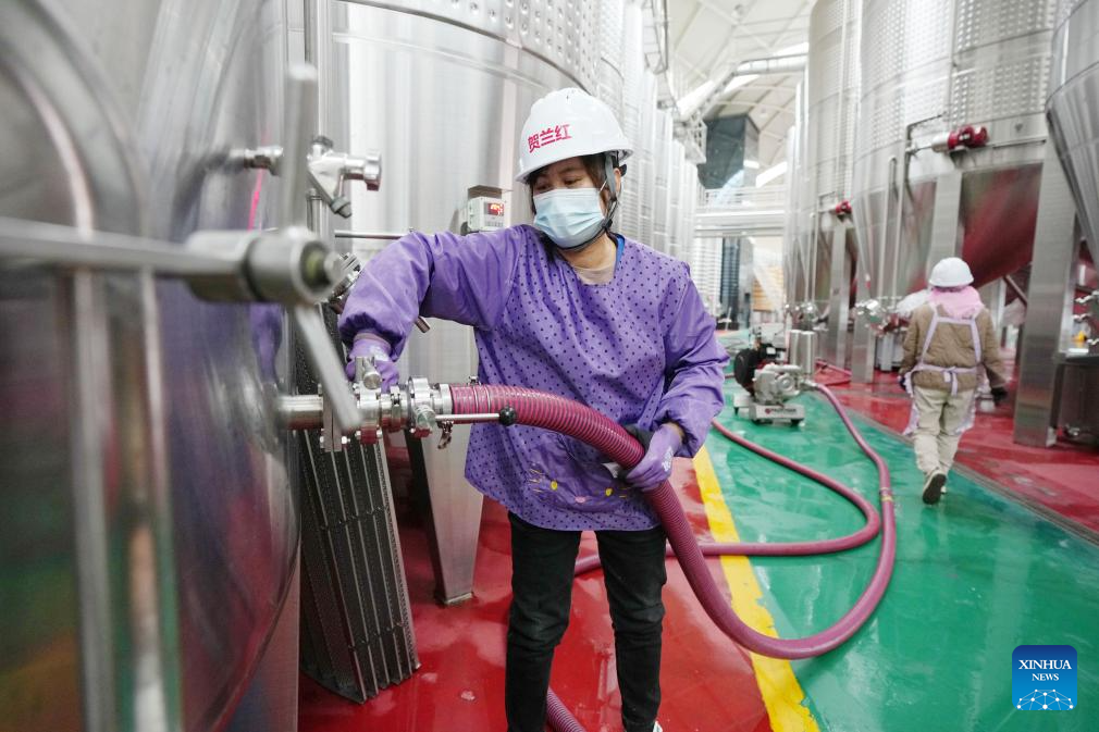 Minning Town in NW China's Ningxia thrives amid ecological transformation