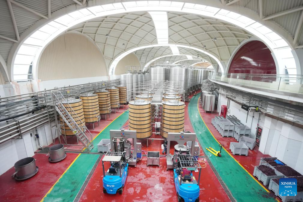 Minning Town in NW China's Ningxia thrives amid ecological transformation