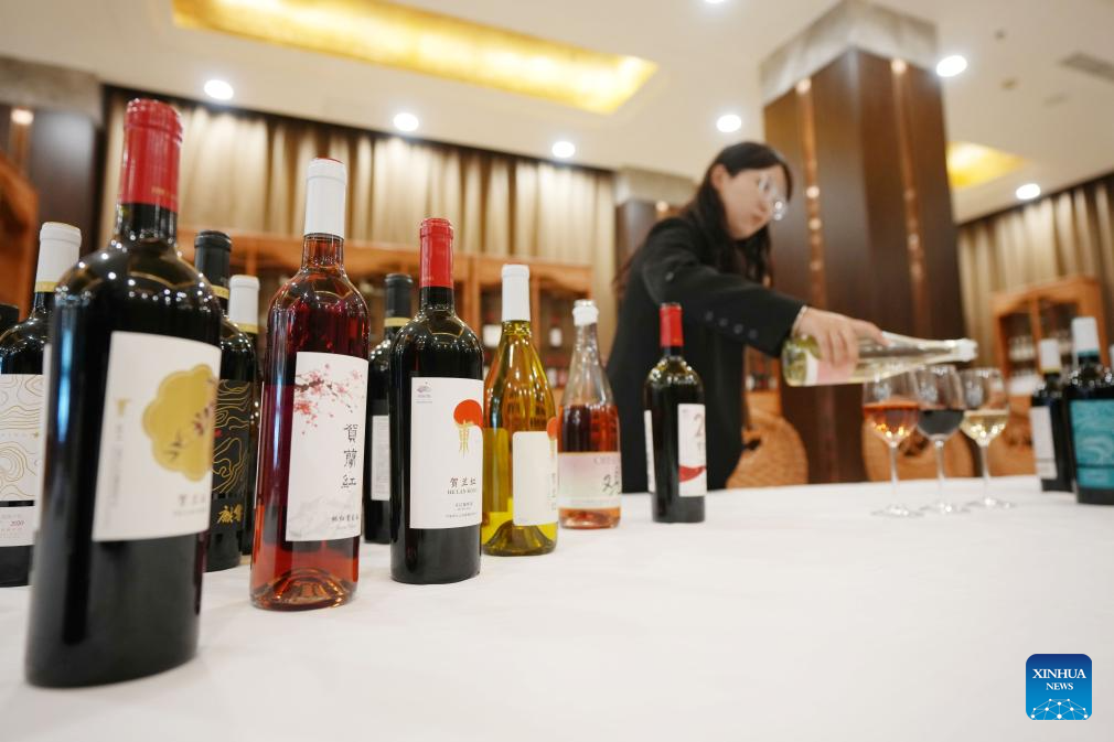 Minning Town in NW China's Ningxia thrives amid ecological transformation