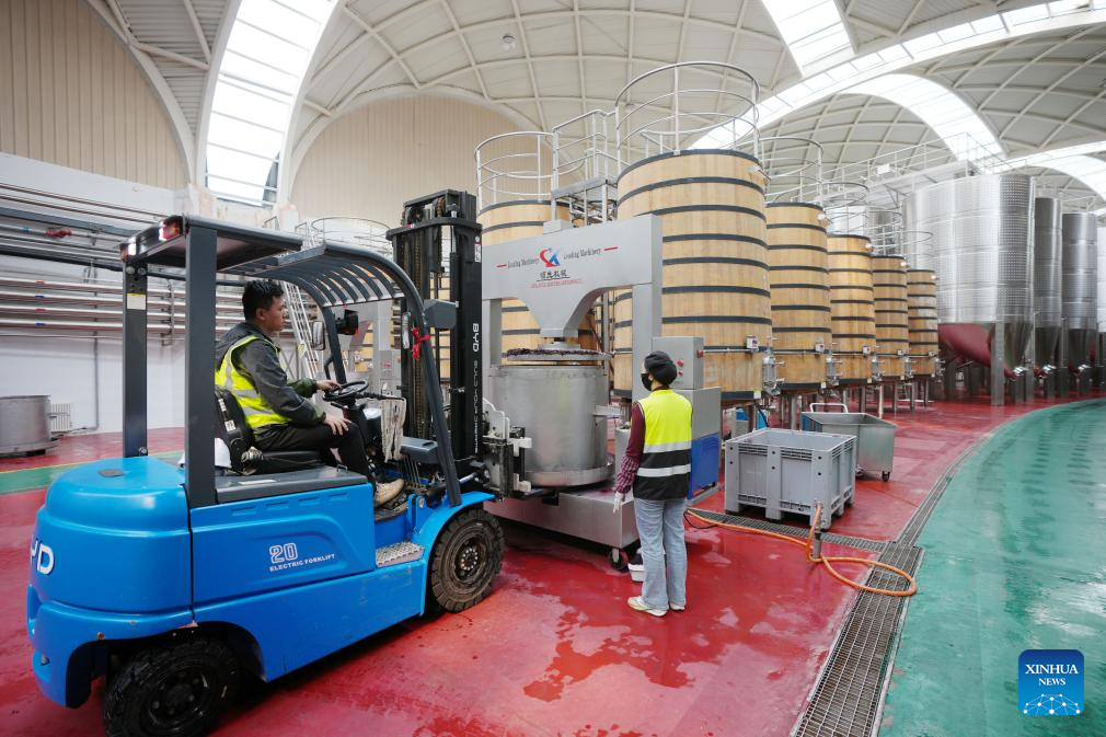 Minning Town in NW China's Ningxia thrives amid ecological transformation