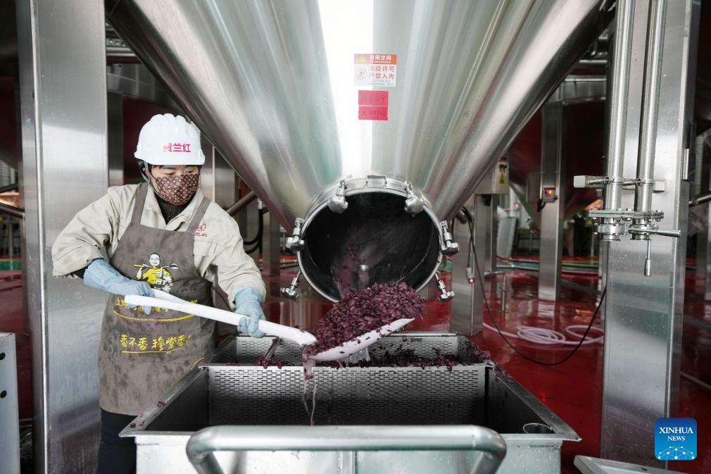 Minning Town in NW China's Ningxia thrives amid ecological transformation