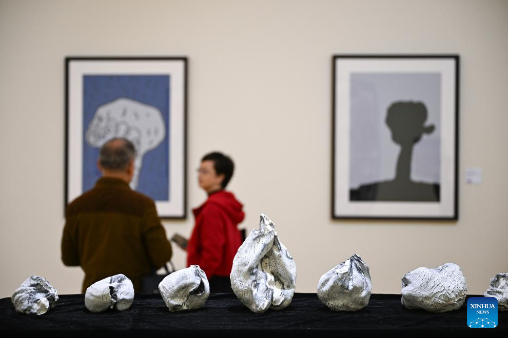 Silk Road art festival opens in NW China's Xi'an