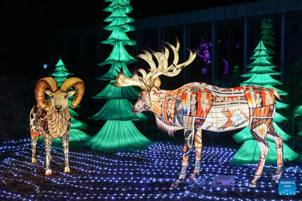 Animals of World Chinese Lantern Festival held in Budapest, Hungary