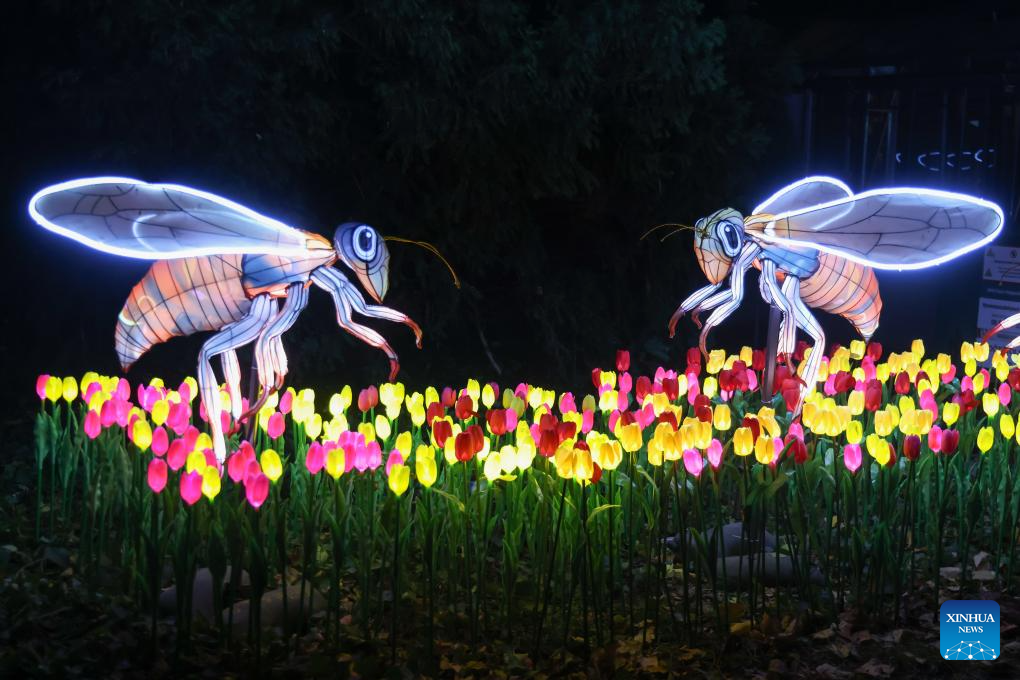 Animals of World Chinese Lantern Festival held in Budapest, Hungary