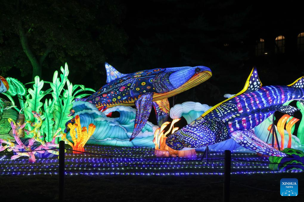 Animals of World Chinese Lantern Festival held in Budapest, Hungary