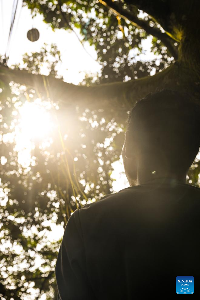 Malaysian durians reach China in 36 hours