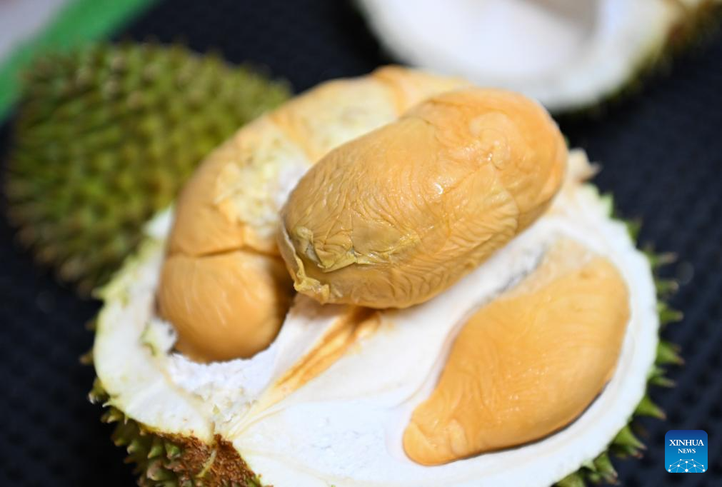 Malaysian durians reach China in 36 hours