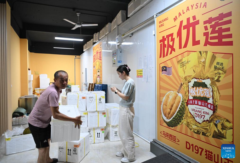 Malaysian durians reach China in 36 hours