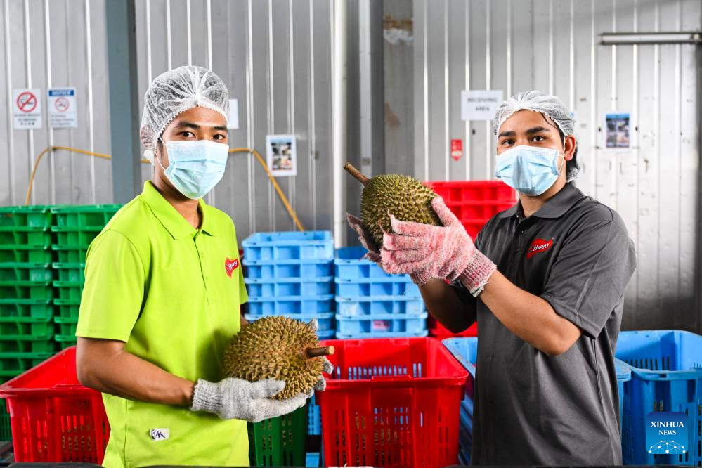 Malaysian durians reach China in 36 hours