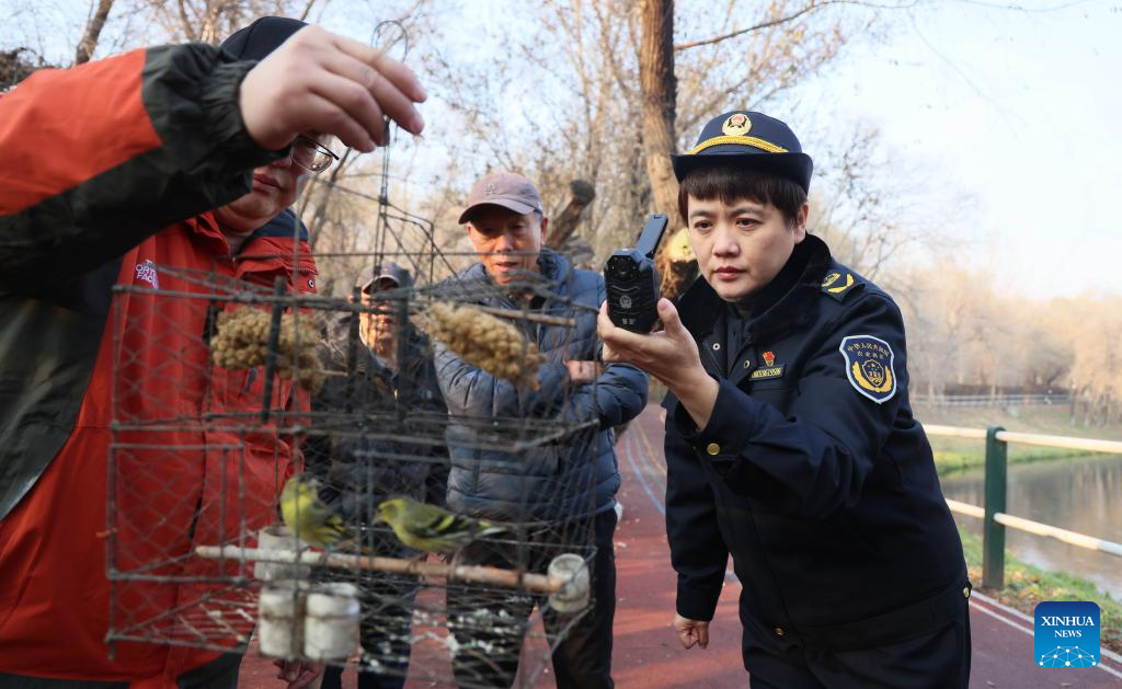 Volunteer team in NE China dedicated to protecting wildlife in Songhua River basin