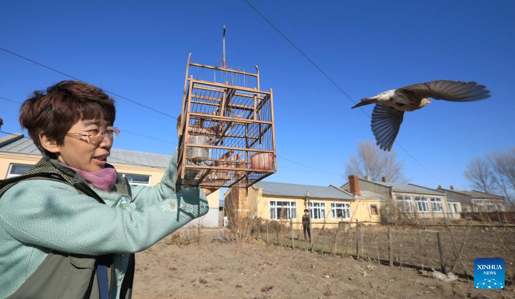 Volunteer team in NE China dedicated to protecting wildlife in Songhua River basin