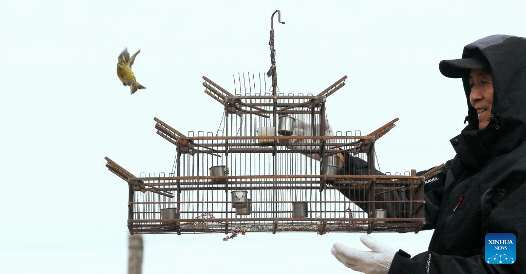 Volunteer team in NE China dedicated to protecting wildlife in Songhua River basin