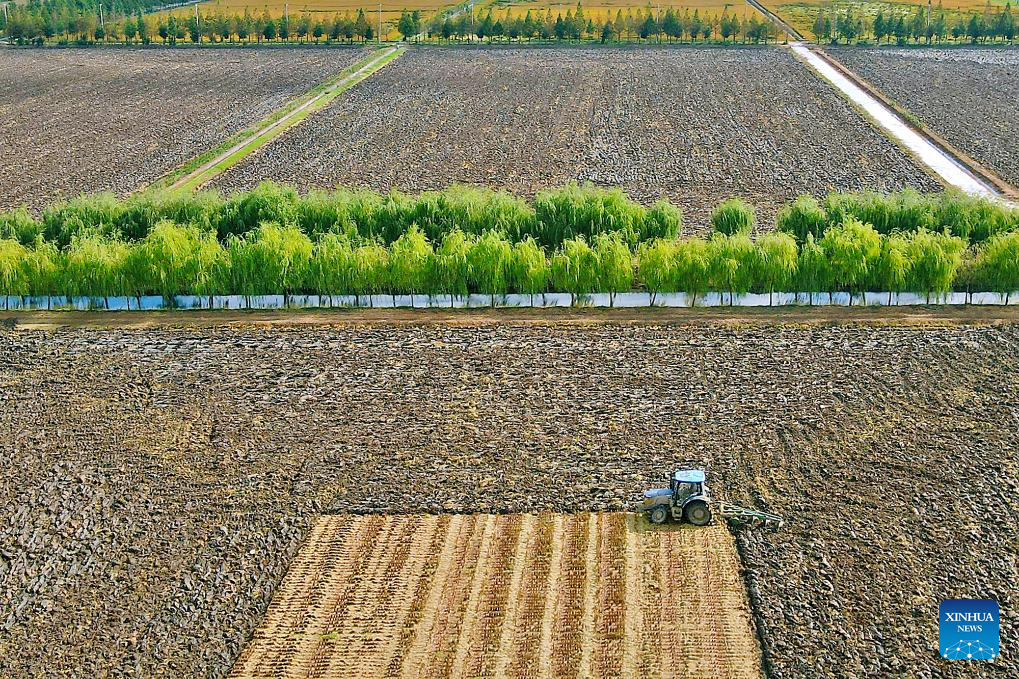 In pics: autumn harvest across China