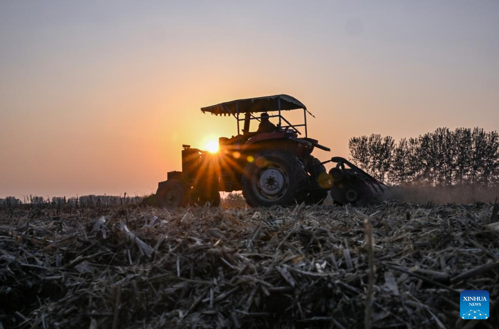In pics: autumn harvest across China