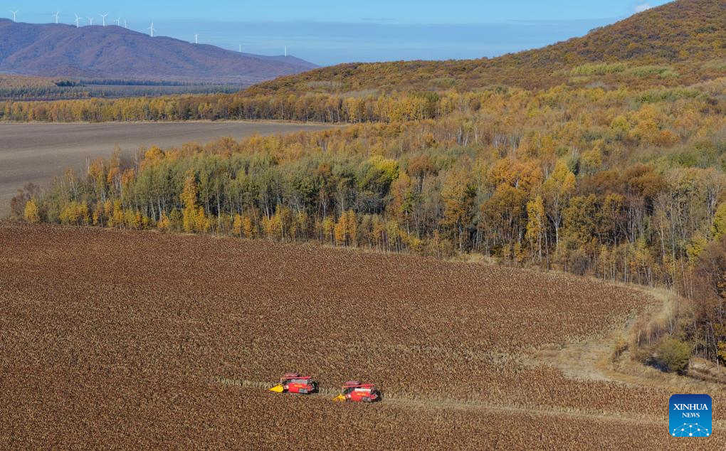 In pics: autumn harvest across China