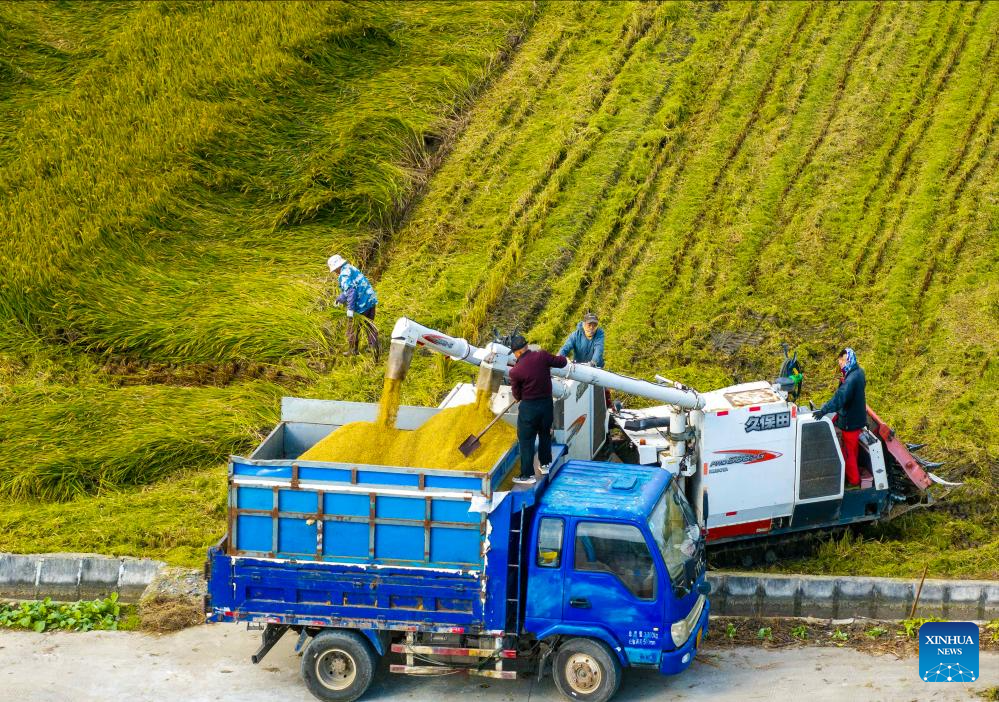 In pics: autumn harvest across China