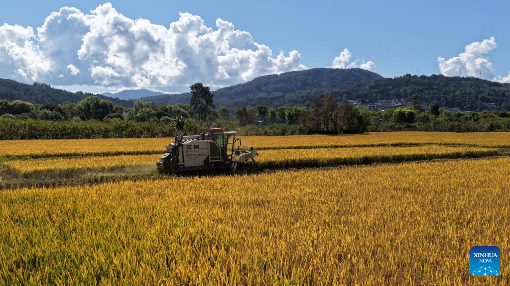 In pics: autumn harvest across China