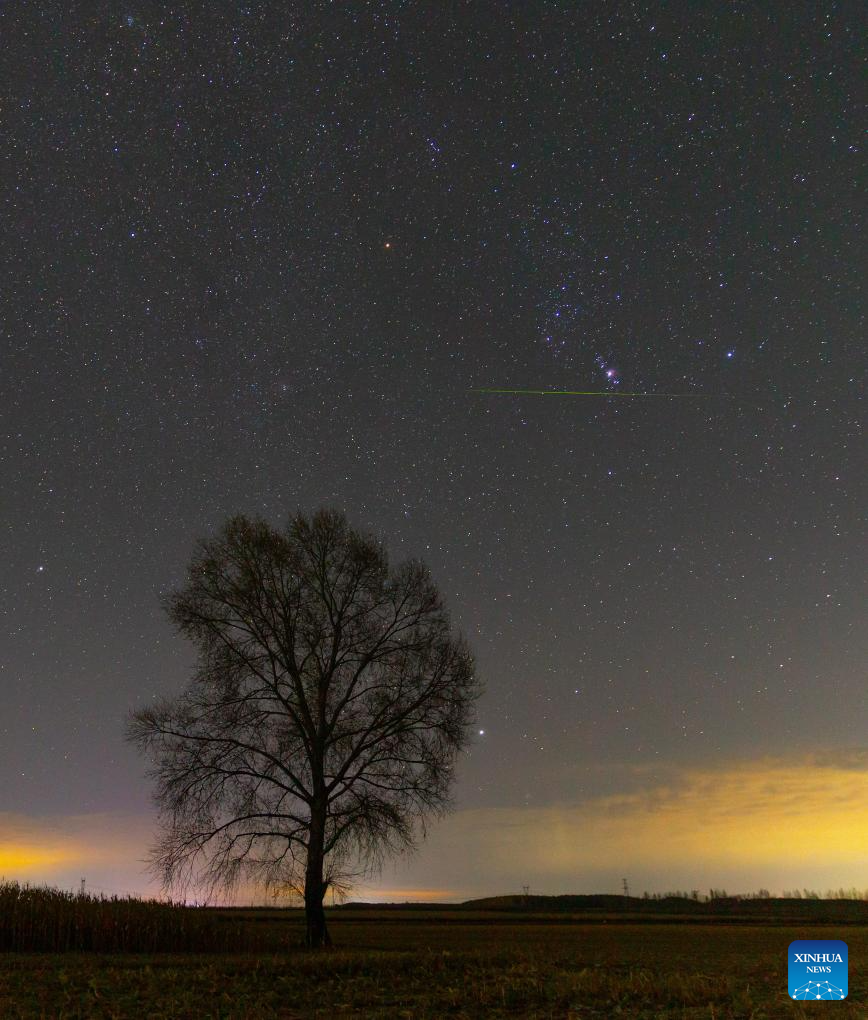 View of Orionid meteor shower over China's Heilongjiang