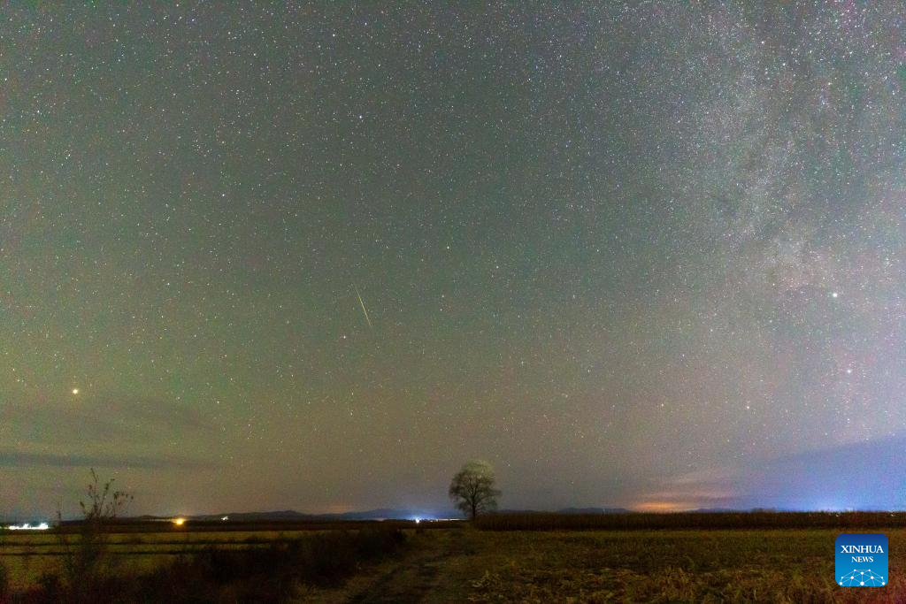 View of Orionid meteor shower over China's Heilongjiang