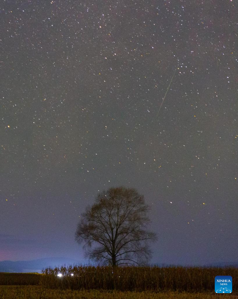 View of Orionid meteor shower over China's Heilongjiang