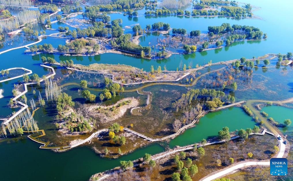 Autumn scenery across China