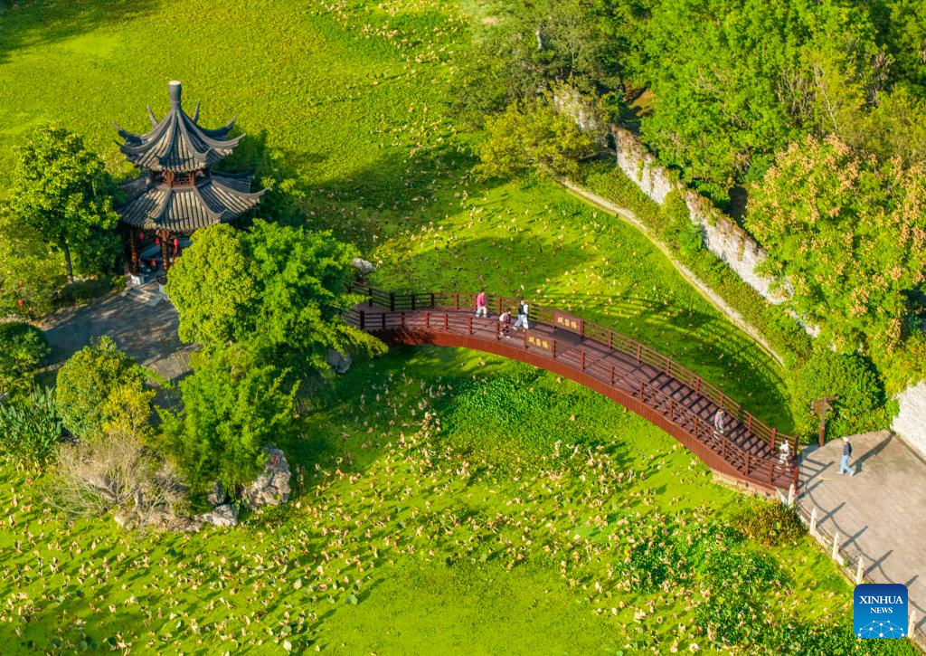Autumn scenery across China