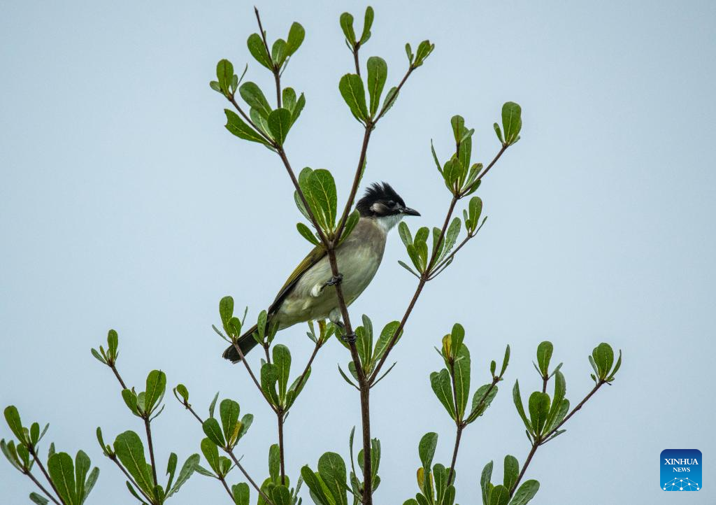 Autumn scenery across China