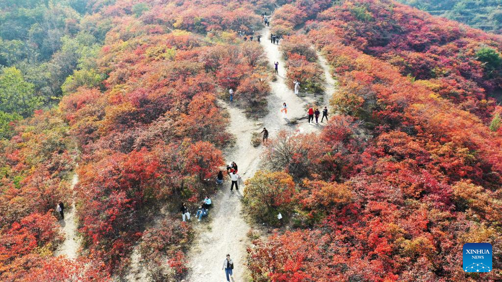 Autumn scenery across China
