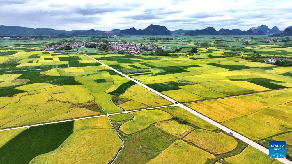 Autumn scenery across China
