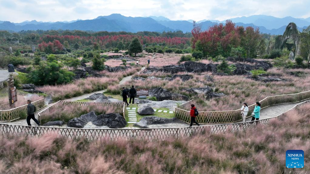 Stunning autumn scenery across China