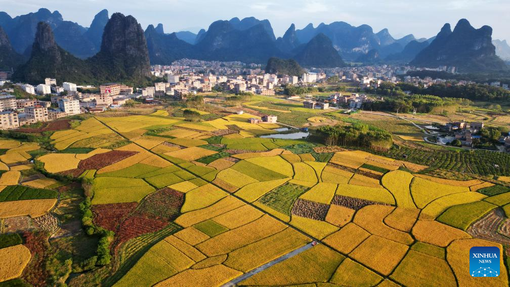 Stunning autumn scenery across China