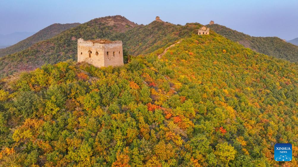 Autumn scenery of Dongjiakou section of Great Wall in Hebei, N China