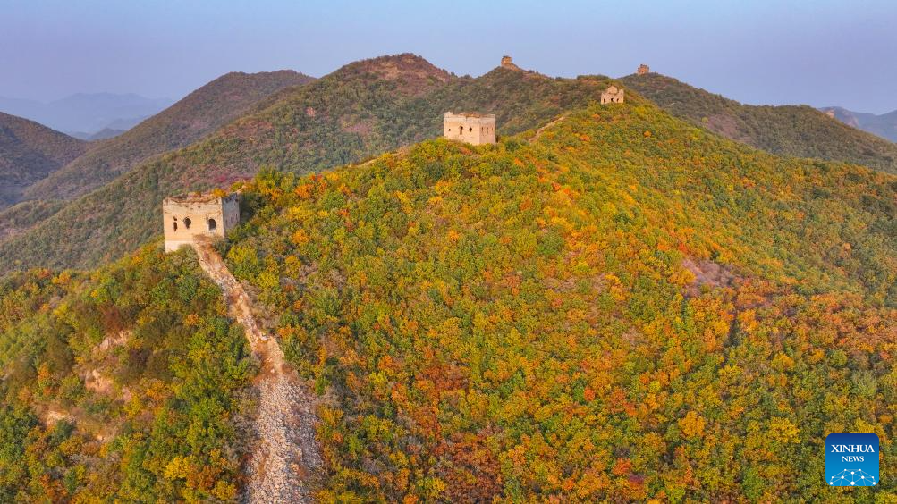 Autumn scenery of Dongjiakou section of Great Wall in Hebei, N China