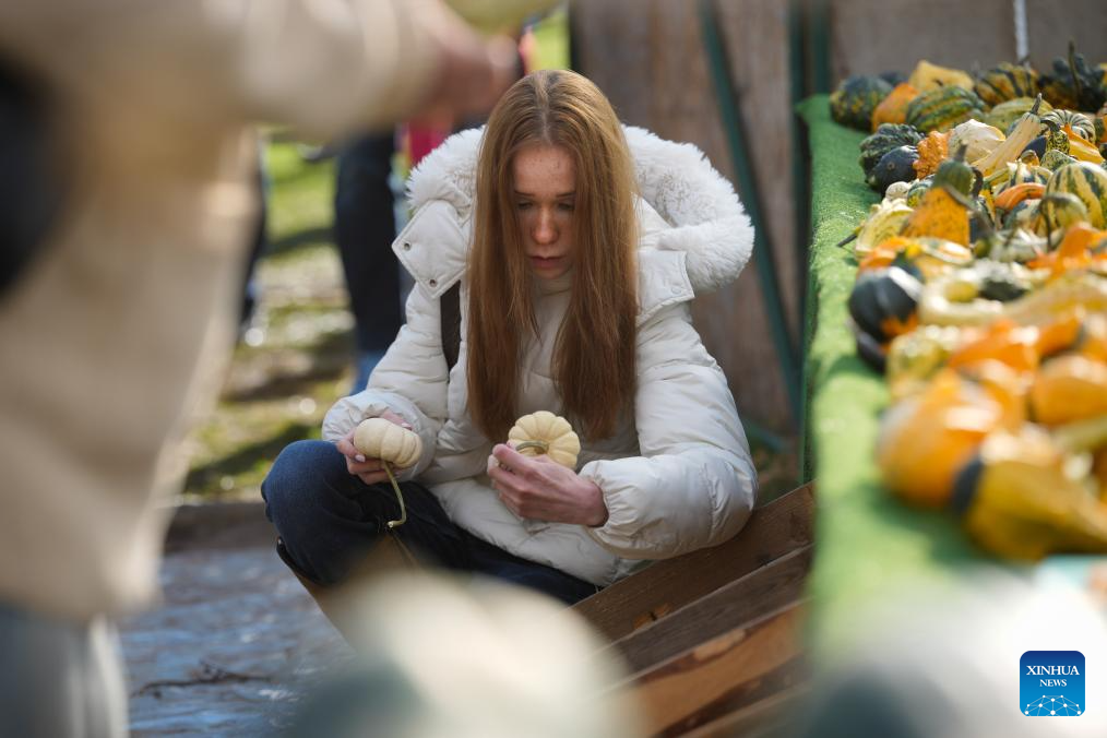 In pics: Pumpkin Festival in Warsaw, Poland