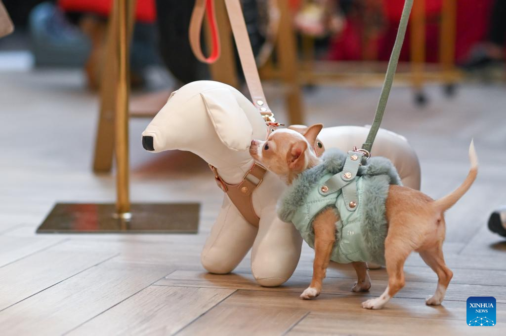 In pics: Pumpkin Festival in Warsaw, Poland