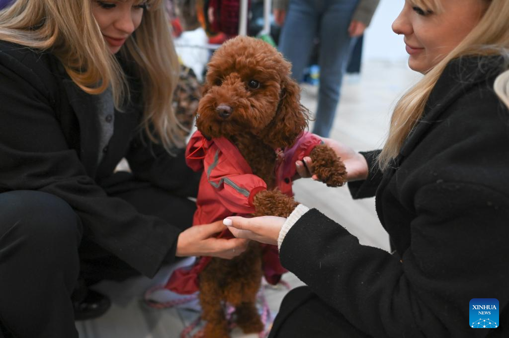 In pics: Pumpkin Festival in Warsaw, Poland