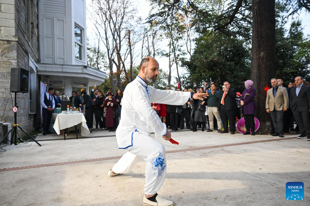 2nd edition of Chinese culture festival held at Bogazici University in Istanbul