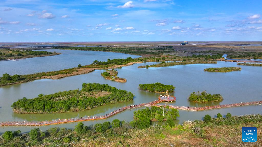 Six bays across Shandong recognized as outstanding examples of 