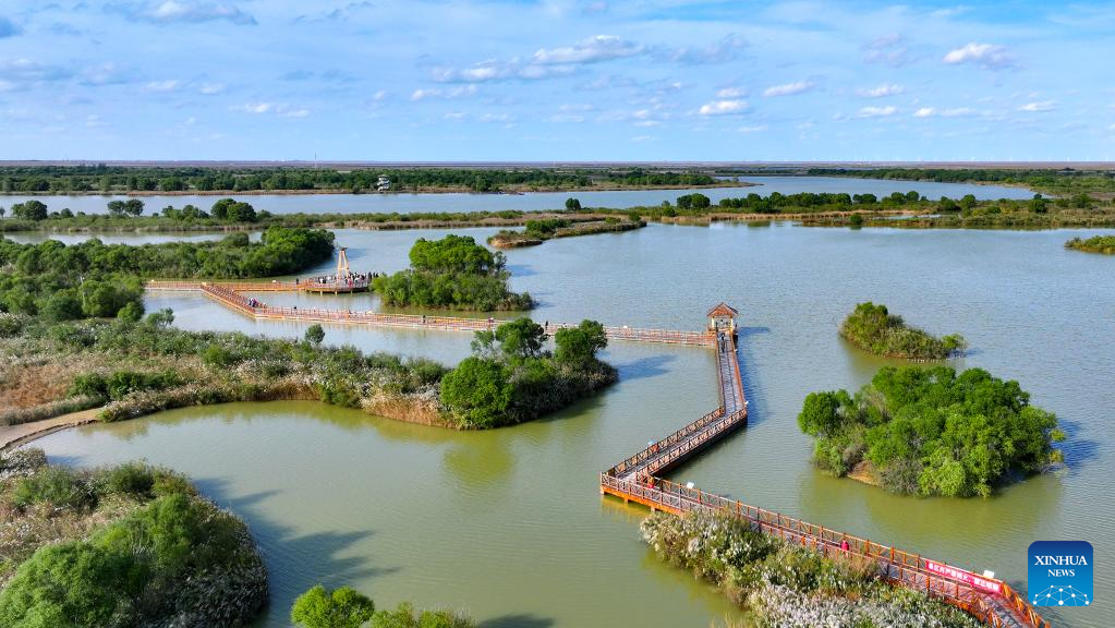 Six bays across Shandong recognized as outstanding examples of 