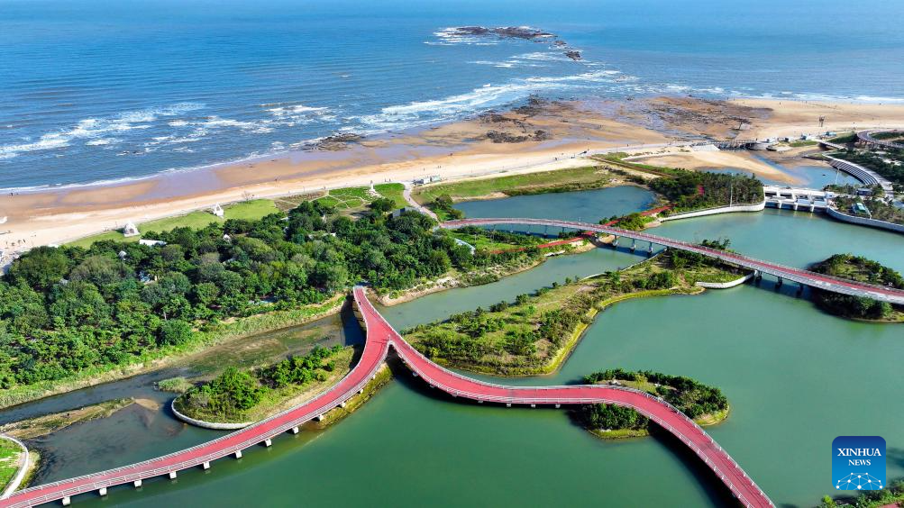 Six bays across Shandong recognized as outstanding examples of 